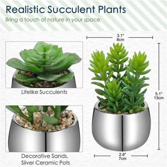 Small Artificial Succulents in Pots Set of 3 Realistic Faux Succulents Plants - Picture 5 of 6